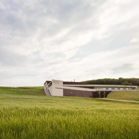 Henye Vendeghaz Hotel Bodrogkeresztur ภายนอก รูปภาพ